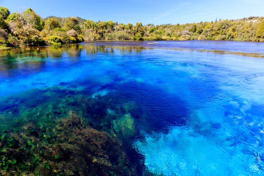 Nelson: Abel Tasman Cruise-Fly Day Tour - The flight back to Nelson: the fastest way to see the Abel Tasman coast