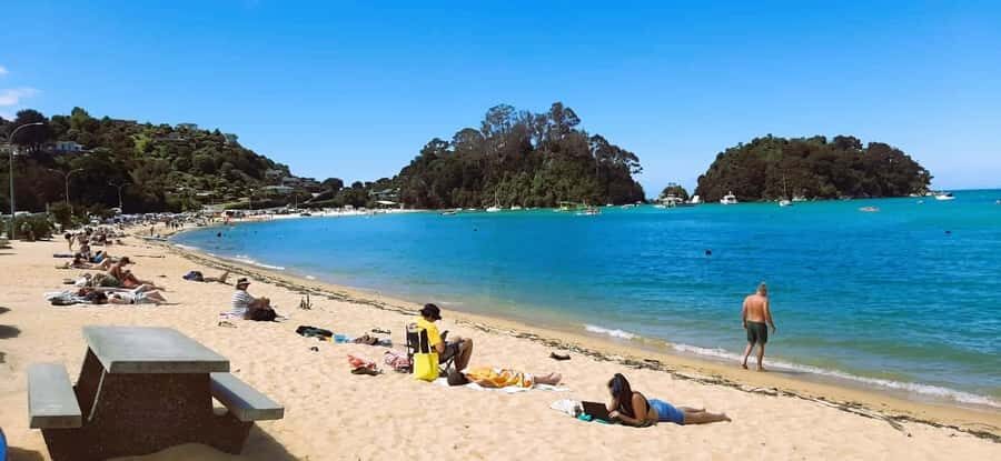 Nelson: Abel Tasman Cruise-Fly Day Tour - Price and value: what $417 is buying you