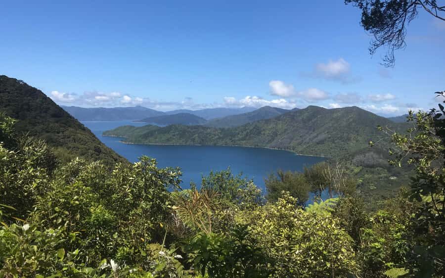 Nelson: Abel Tasman Kayaking & Great Taste Trail Bike Tour - What to bring so the day stays fun (not annoying)