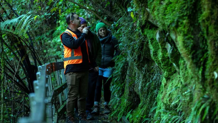 Nelson: Brook Waimārama Sanctuary Guided Night Walk - Key highlights worth making time for