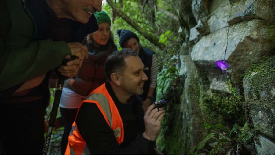 Nelson: Brook Waimārama Sanctuary Guided Night Walk - Brook Waimārama Sanctuary at night: what makes it special