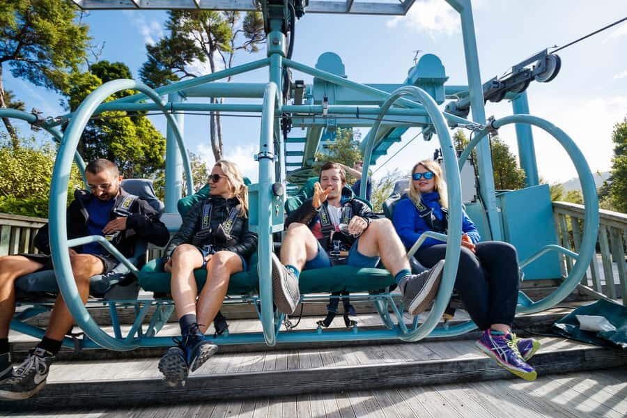 Nelson: Cable Bay Adventure Park Skywire Experience - Price and value: is $65 worth it?