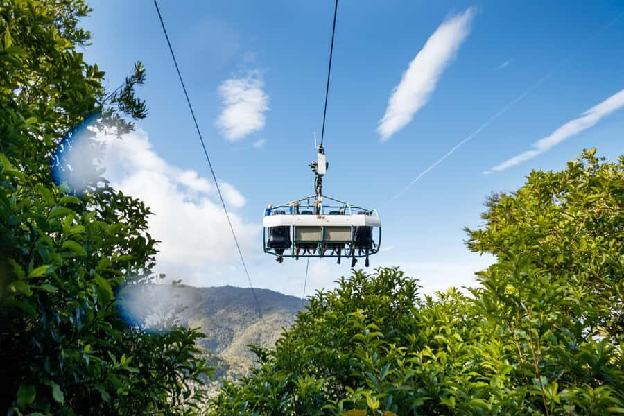 Nelson: Cable Bay Adventure Park Skywire Experience - Tips for getting the most out of the ride