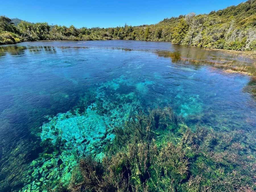 Nelson: Golden Bay in a Day Tour - Key highlights at a glance