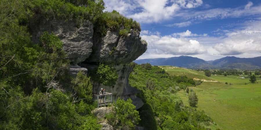 Nelson: Golden Bay in a Day Tour - Leaving Nelson: the scenic drive that sets the mood