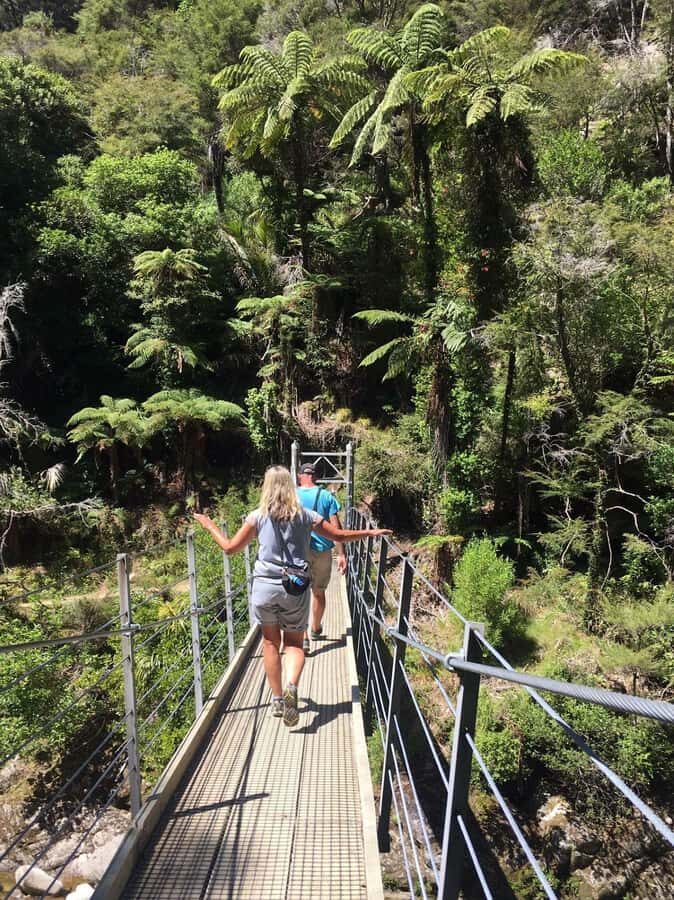 Nelson: Golden Bay in a Day Tour - Takaka lunch break: fuel that keeps the day fun