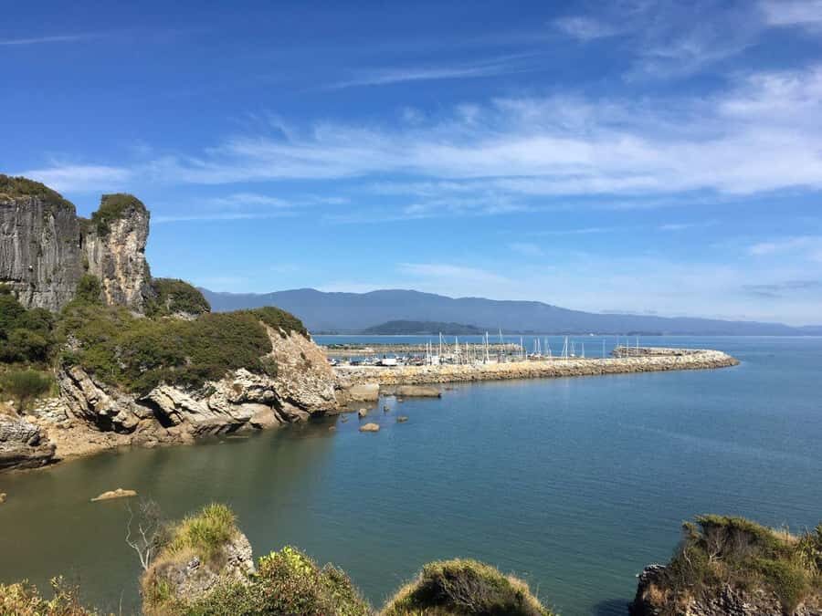 Nelson: Golden Bay in a Day Tour - The Grove Reserve: ancient trees, birdlife, and ocean-shaped rock