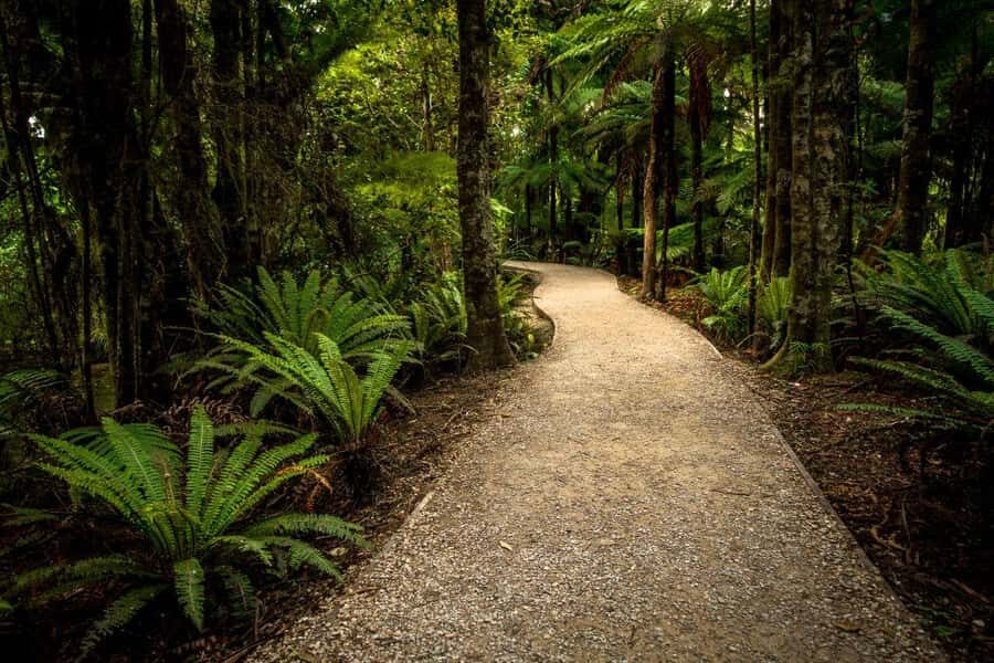 Nelson: Golden Bay in a Day Tour - Price and value: does $256 per person make sense?