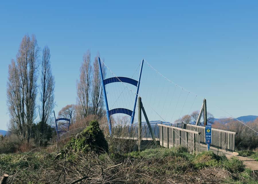 Nelson: Great Taste Trail Coastal Bike Ride to Mapua - The Starts and Stops: Where You’ll Eat, Swim, and Take Breaks