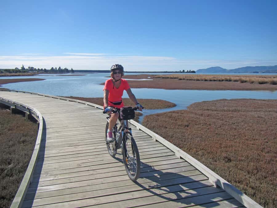 Nelson: Great Taste Trail Coastal Bike Ride to Mapua - The Great Taste Trail Segment: Flat, Scenic, and Actually Manageable
