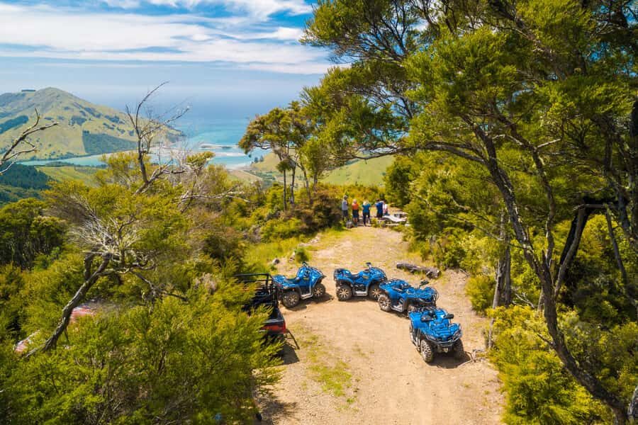 Nelson: Guided Quad Biking Tour Through Forest and Farmland - Key things to know before you go