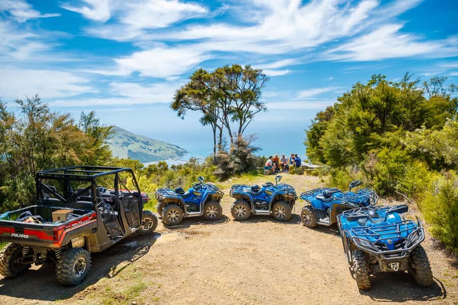Nelson: Guided Quad Biking Tour Through Forest and Farmland - Who This Tour Suits Best (and Who Might Prefer Another Option)