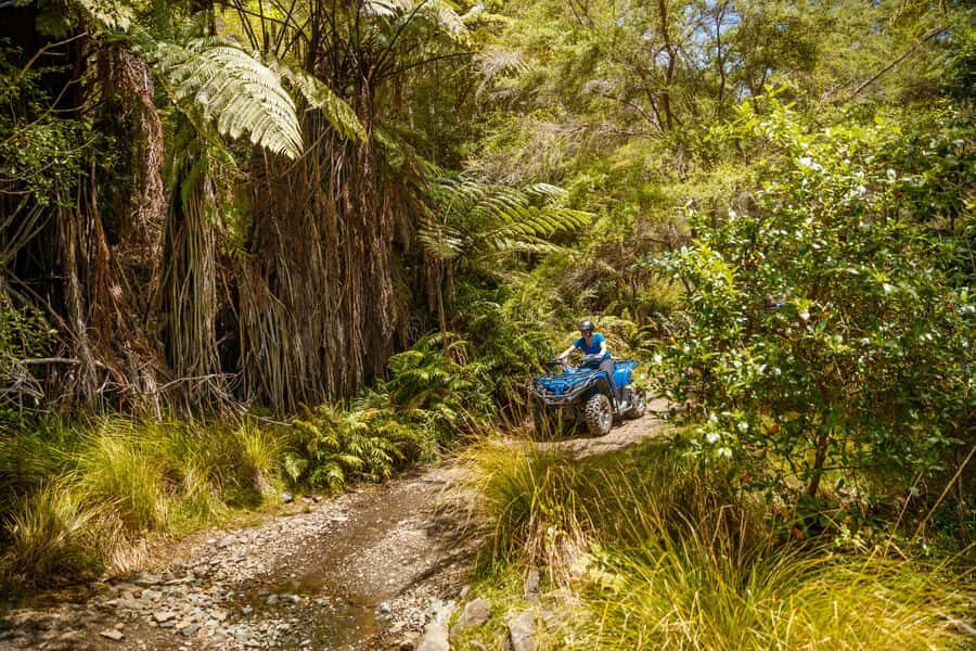 Nelson: Guided Quad Biking Tour Through Forest and Farmland - Bayview Circuit Tour (2.5 Hours): Native Forest Trails to Delaware Bay