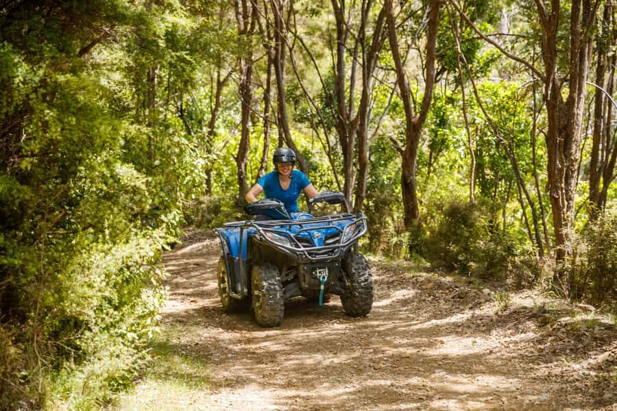 Nelson: Guided Quad Biking Tour Through Forest and Farmland - Cable Bay Lookouts: What to Expect From the Top