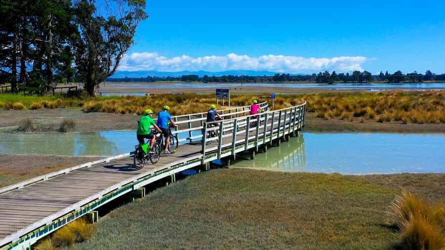Nelson to Mapua: Full-Day Cycling Self-Guided Adventure - Getting Set Up in Nelson: bike fitting, odometer, and an easy start