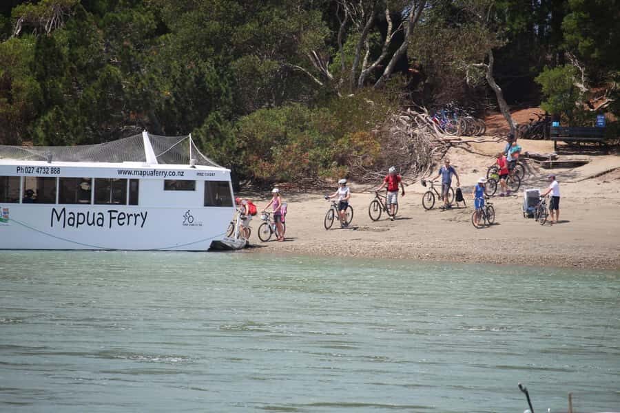 Nelson to Mapua: Full-Day Cycling Self-Guided Adventure - Coastal Views and the Waimea Estuary: boardwalk moments and the swing bridge wow