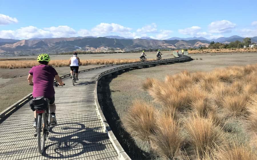 Nelson to Mapua: Full-Day Cycling Self-Guided Adventure - Rabbit Island: freshwater swim options, warm sea dip, and downtime from pedaling
