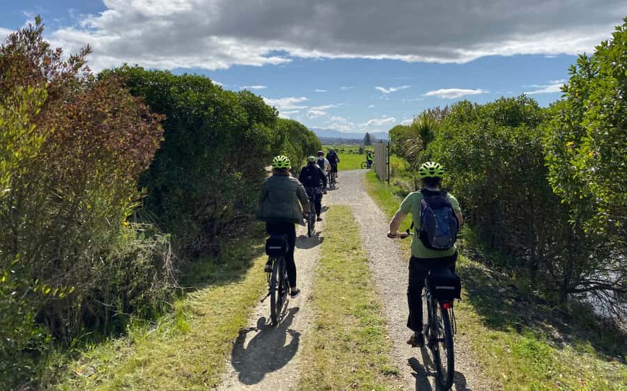 Nelson to Mapua: Full-Day Cycling Self-Guided Adventure - The Mapua Ferry Finish: wharf atmosphere, Golden Bear Brewery, and dinner at your pace