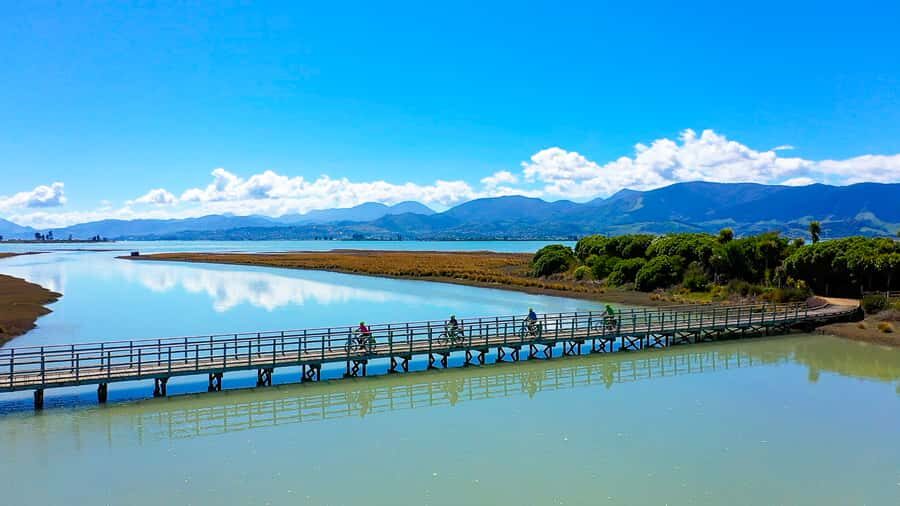 Nelson to Mapua: Full-Day Cycling Self-Guided Adventure - Nelson Warm-Up Stops: Classic Car Museum, Honest Lawyer pub energy, and taste breaks