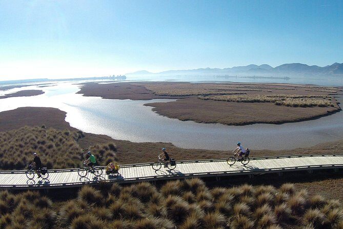 Nelson to Mapua: Full-Day Self-Guided Cycling Adventure - Key Things I’d Plan for on This Nelson to Mapua Ride