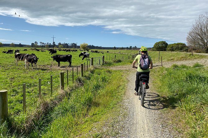 Nelson to Mapua: Full-Day Self-Guided Cycling Adventure - Price and Value: is $80.05 a fair deal?