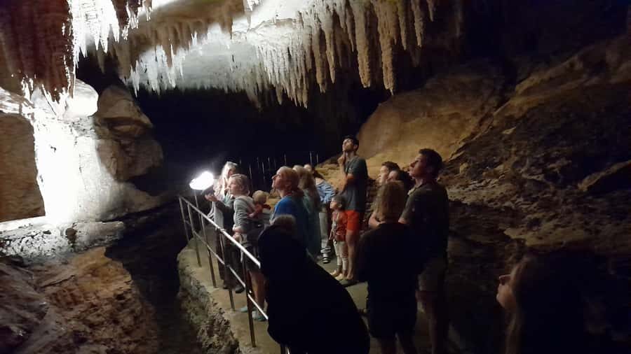 New Zealand: Milky Way Glowworm Cave Tour - Why This Milky Way Glowworm Cave Is Worth the Two-Hour Auckland Drive