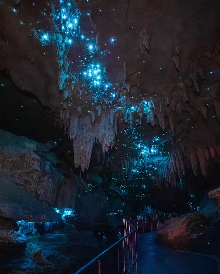 New Zealand: Milky Way Glowworm Cave Tour - Glowworms Up Close: Lights Off Makes the Difference