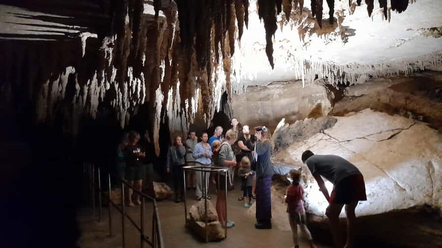 New Zealand: Milky Way Glowworm Cave Tour - Price and Value: $26 for a Full Hour plus More Park Time