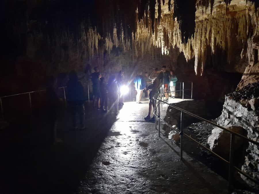 New Zealand: Milky Way Glowworm Cave Tour - Should You Book This Milky Way Glowworm Cave Tour?