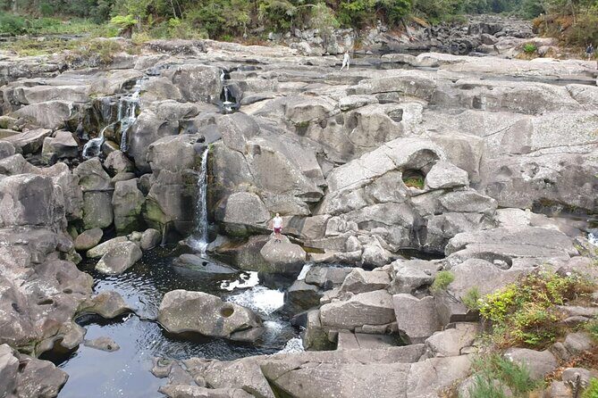 New Zealand Tauranga Tour with Transportation and Snacks - Transportation and group size: why the small ceiling helps