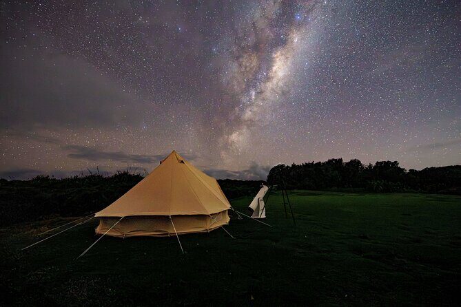 Nocturnal Wonders Tawharanui Kiwi Spotting and Stargazing Tour - Equipment you actually need: telescopes, binoculars, and night-focused guidance