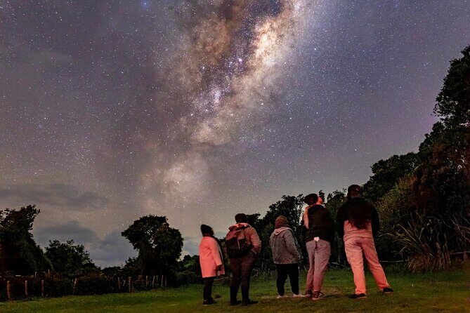 Nocturnal Wonders Tawharanui Kiwi Spotting and Stargazing Tour - Glamping tents are optional, but consider what you’re paying for