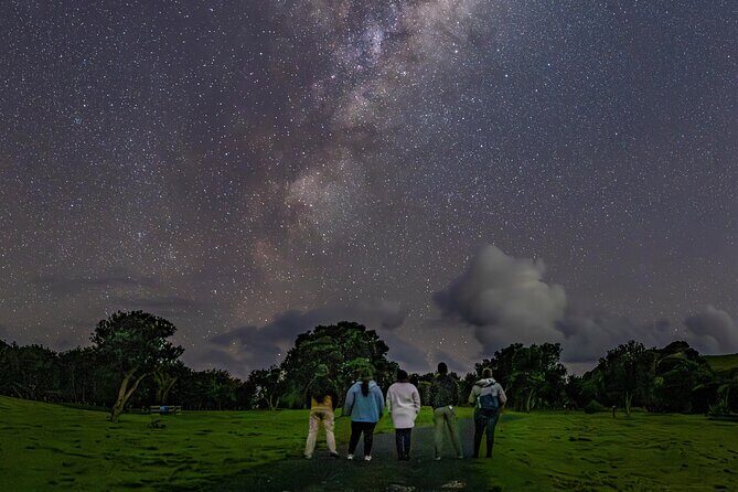 Nocturnal Wonders Tawharanui Kiwi Spotting and Stargazing Tour - Kiwi Discovery Adventure: reading the bush in twilight
