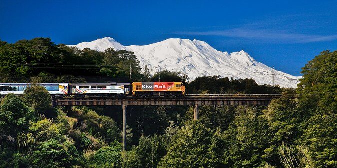 Northern Explorer Train Journey from Auckland to Wellington - Price and Value: Is $164.45 Worth It?