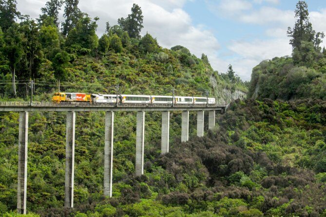 Northern Explorer Train Journey from Auckland to Wellington - From Waikato Farmland to the Coastline: The Easy Start