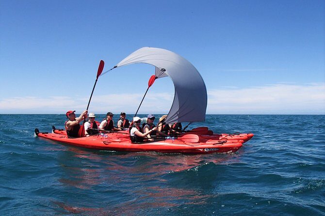 Oarsome Marine Reserve Kayak Tour - Marahau kayaking: what the day is really like