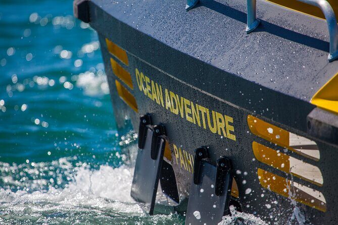 Ocean Adventure: Fast Boat to the Hole in the Rock - Waewaetorea Island and the Passage gateway effect
