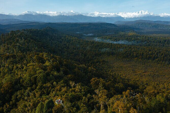 Okarito Nature Tour - Key points worth knowing before you go