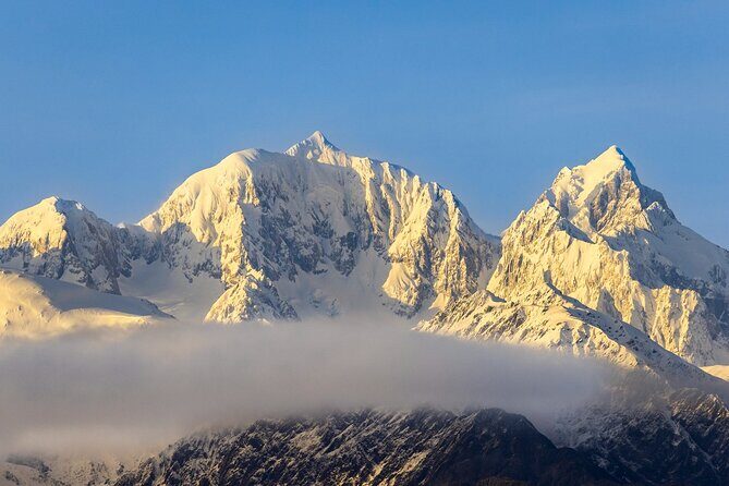 Okarito Nature Tour - A half-day from Franz Josef that feels like a real detour