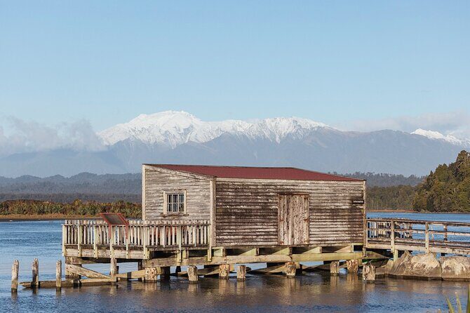 Okarito Nature Tour - Birdwatching focus: how this tour actually gets results