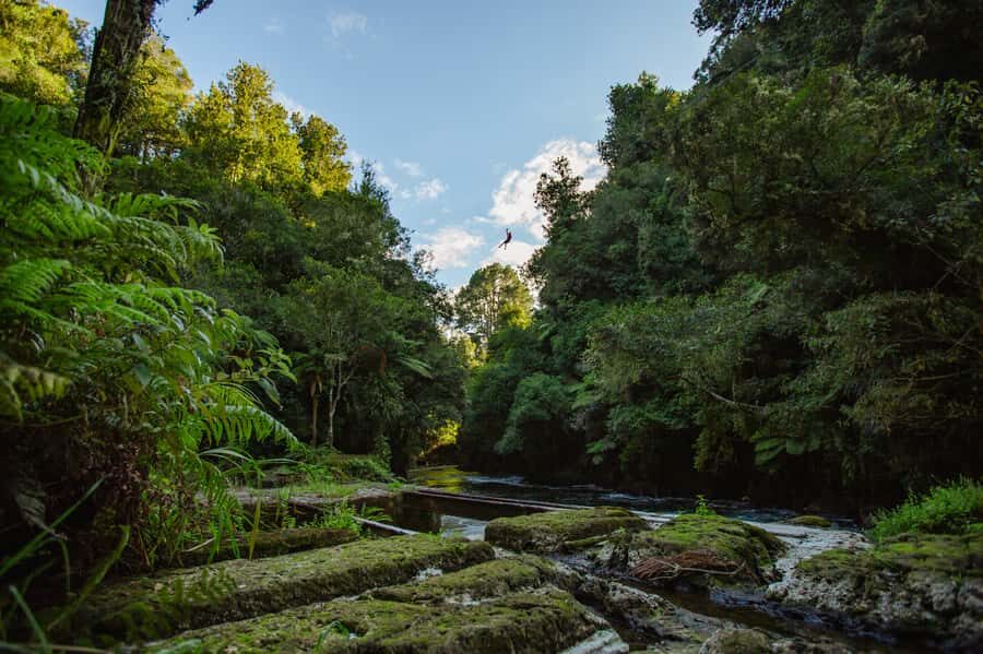 Okere Falls: Zipline over Waterfalls Experience - Key highlights I’d plan around