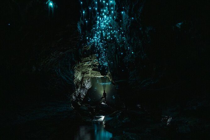 Okohua Glowworm Cave Adventure - Back on the surface: bush walk, hot showers, and cedar hot tub time