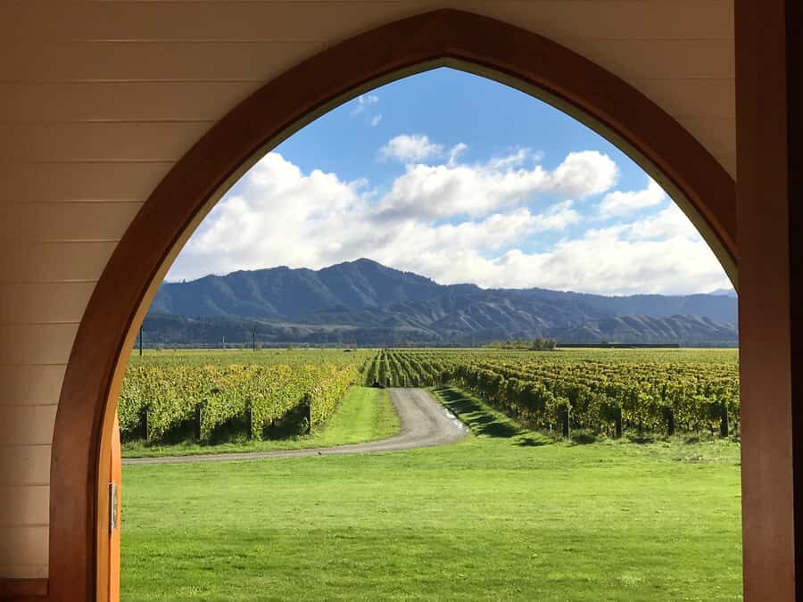 Onshore Highlights of Marlborough's Wine Region from Picton - Price and value: what $176 gets you in 5 hours