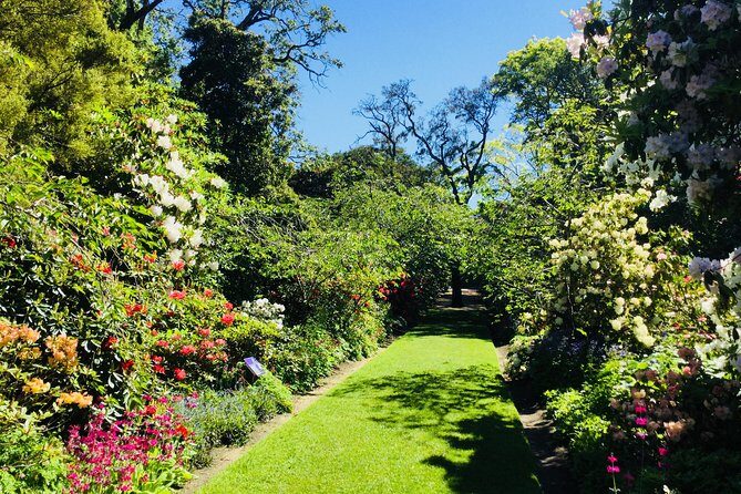 Otago Peninsula Scenery and Dunedin City Highlights Tour - The Steepest Street Meets Real Wildlife: A Practical Reality Check