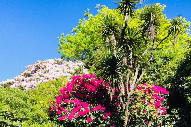 Otago Peninsula Scenery and Dunedin City Highlights Tour - Guides Make the Difference: Teresa, Warren, Alva, Ross, and More