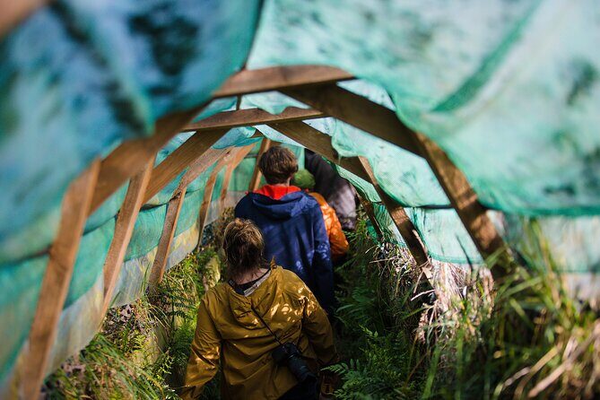Otago Peninsula Wildlife Tour & Cruise - Quick take: what makes this tour work