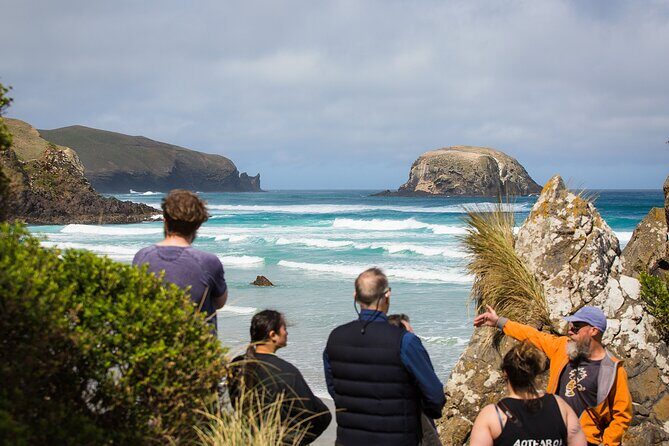 Otago Peninsula Wildlife Tour & Cruise - Otago Peninsula + cruise, timed for an efficient wildlife day