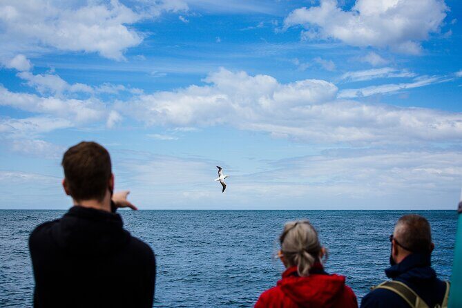 Otago Peninsula Wildlife Tour & Cruise - Yellow-eyed Penguin Conservation Reserve: what you learn matters