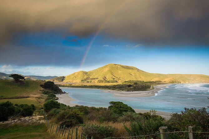 Otago Peninsula Wildlife Tour & Cruise - Price and value: why $142.73 can be a smart buy