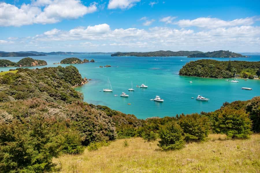 Paihia: Bay of Islands Dolphin Eco Cruise & Island Stopover - Key highlights to know before you go